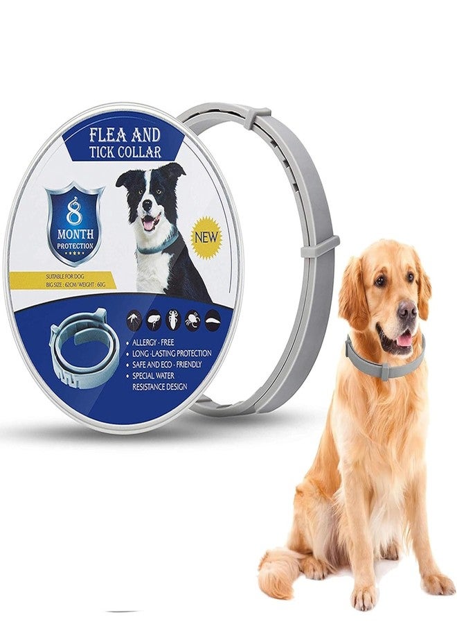 JD PRO | Adjustable Waterproof Flea & Tick Collar for Dogs - 8-Month Protection with Natural, Safe Ingredients | Adjustable, Safe, and Water-Resistant Dog Collar for All Breeds | (Pack of 1) - Image 1